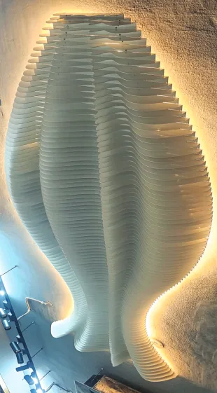 Backlit parametric timber-finish wave wall