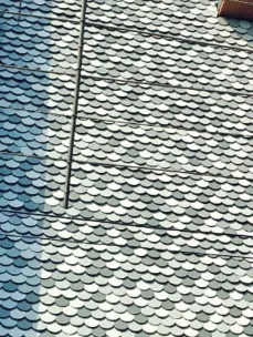 Hexagonal mesh panel