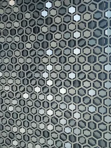 Twister coin hexagonal panel